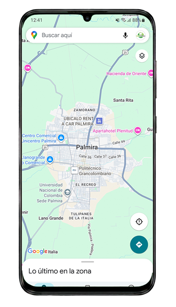 Ser de Palmira